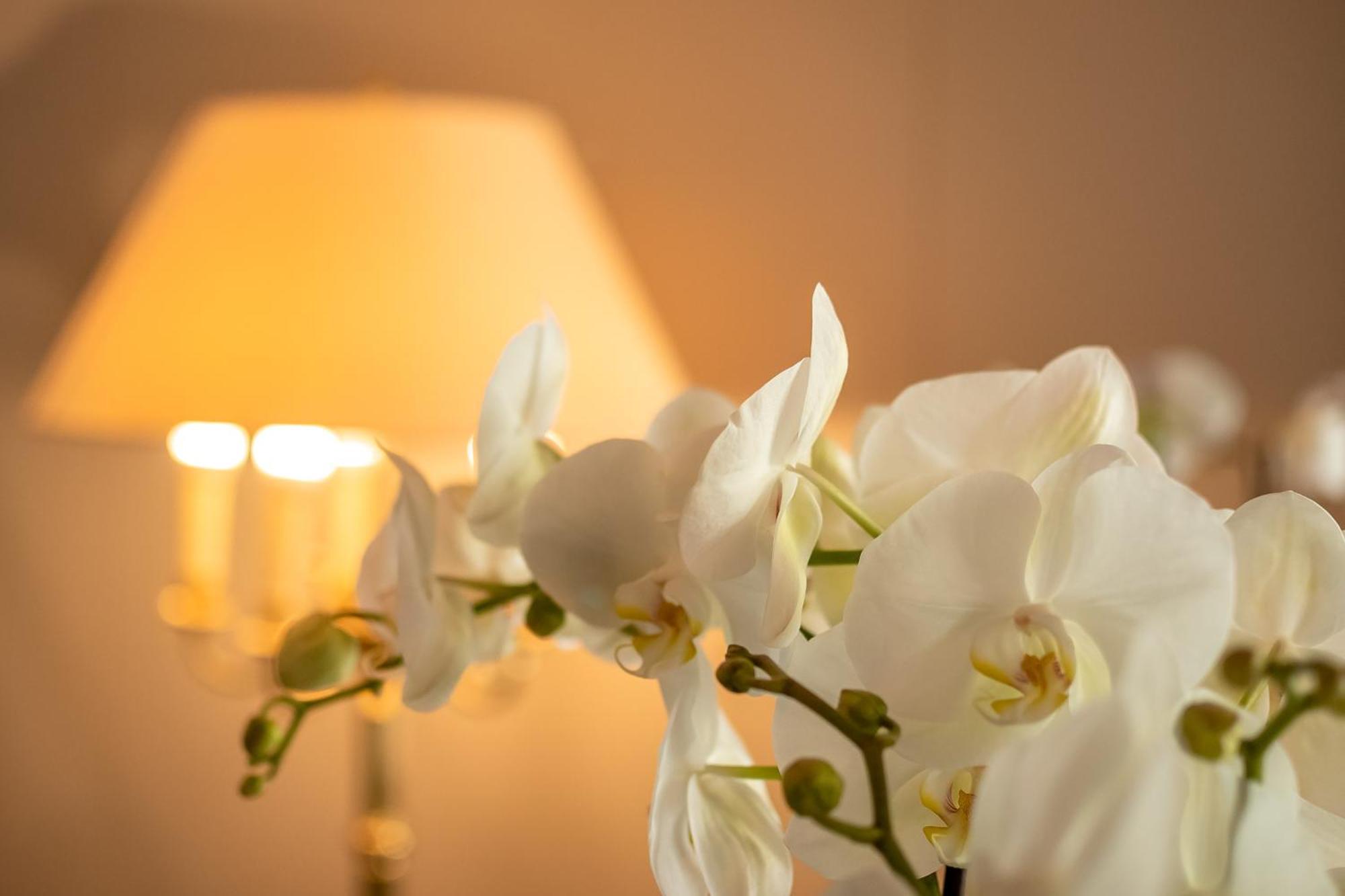 Hotel Haus Arenberg Salzburg Kültér fotó